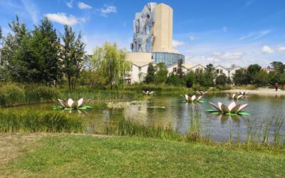 Journée croquée à Arles : samedi 7 mars 2026 – Tour Luma & jardin
