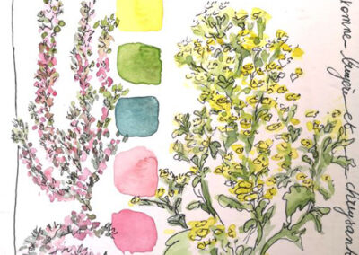 Mathilde Guillot Portfolio aquarelles, carnets de voyage, illustrations