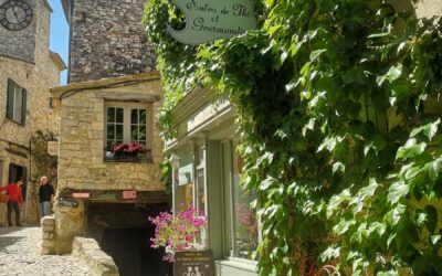 Stage Carnet de voyage à Vaison la Romaine & Séguret