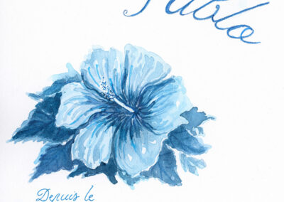 Illustration Mathilde Guillot