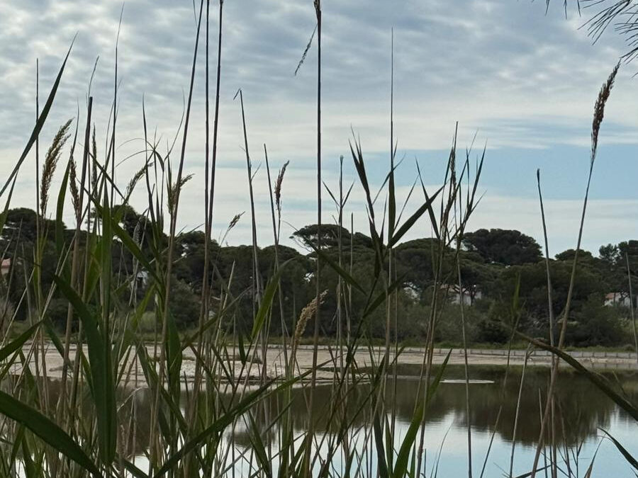 Stage carnet de voyage à Hyères / Giens : 6 au 9 mai 2026 – 4 jours