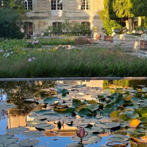 Jardins Saint-André de Villeneuve-lès-Avignon, le 27 septembre