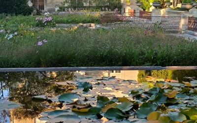 Jardins Saint-André de Villeneuve-lès-Avignon – 27 septembre