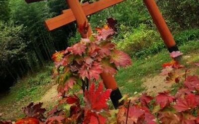 Stage carnet de voyage: Jardin ZEN – Erik Borja -2 jours – 31 octobre- 1er novembre 2026