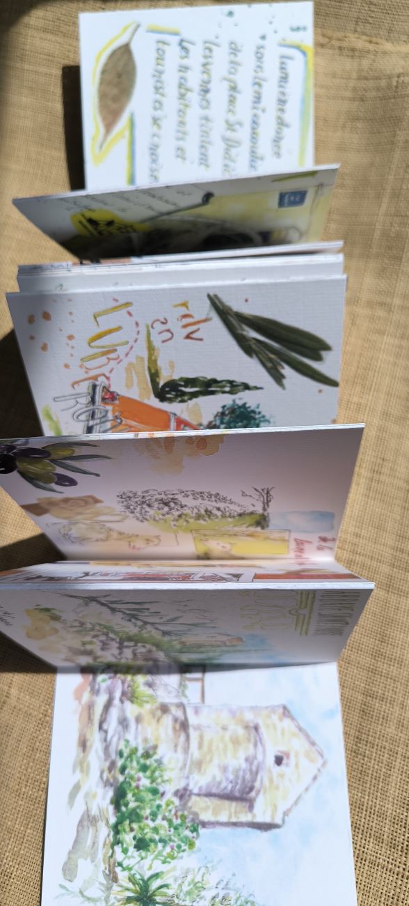 Balade dessinée autour d’Avignon – Image 3