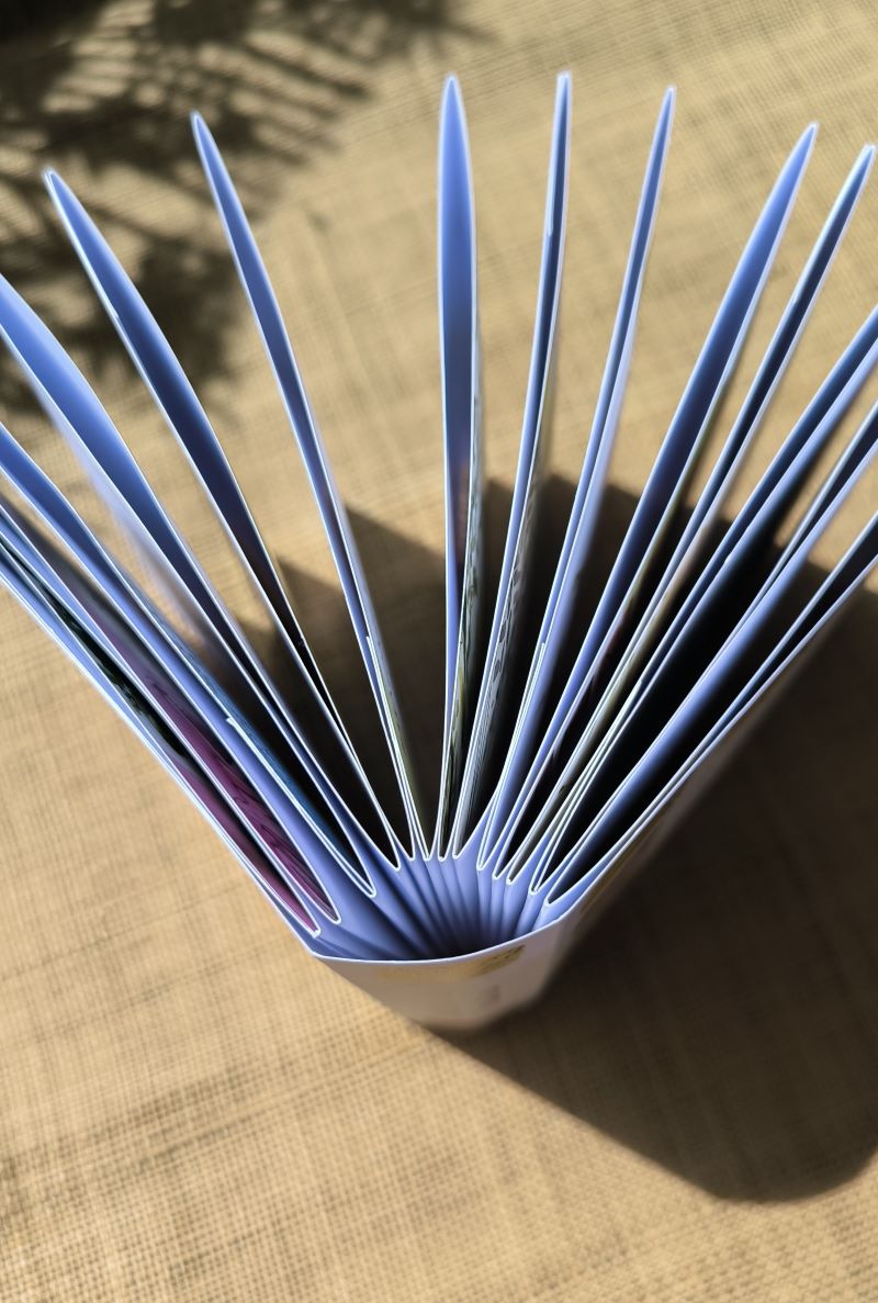 Carnet de voyage, l'échappée au jardin, Mathilde Guillot